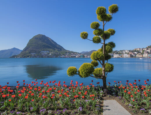 Parco Ciani