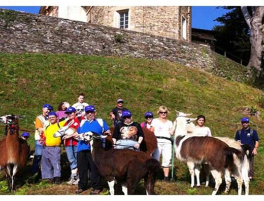 Lama Trekking